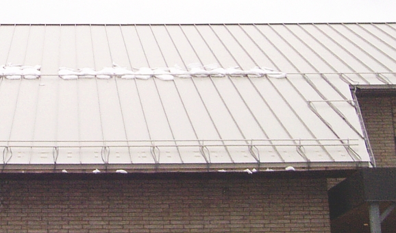 heat_trace_cable_on_metal_roof.jpg